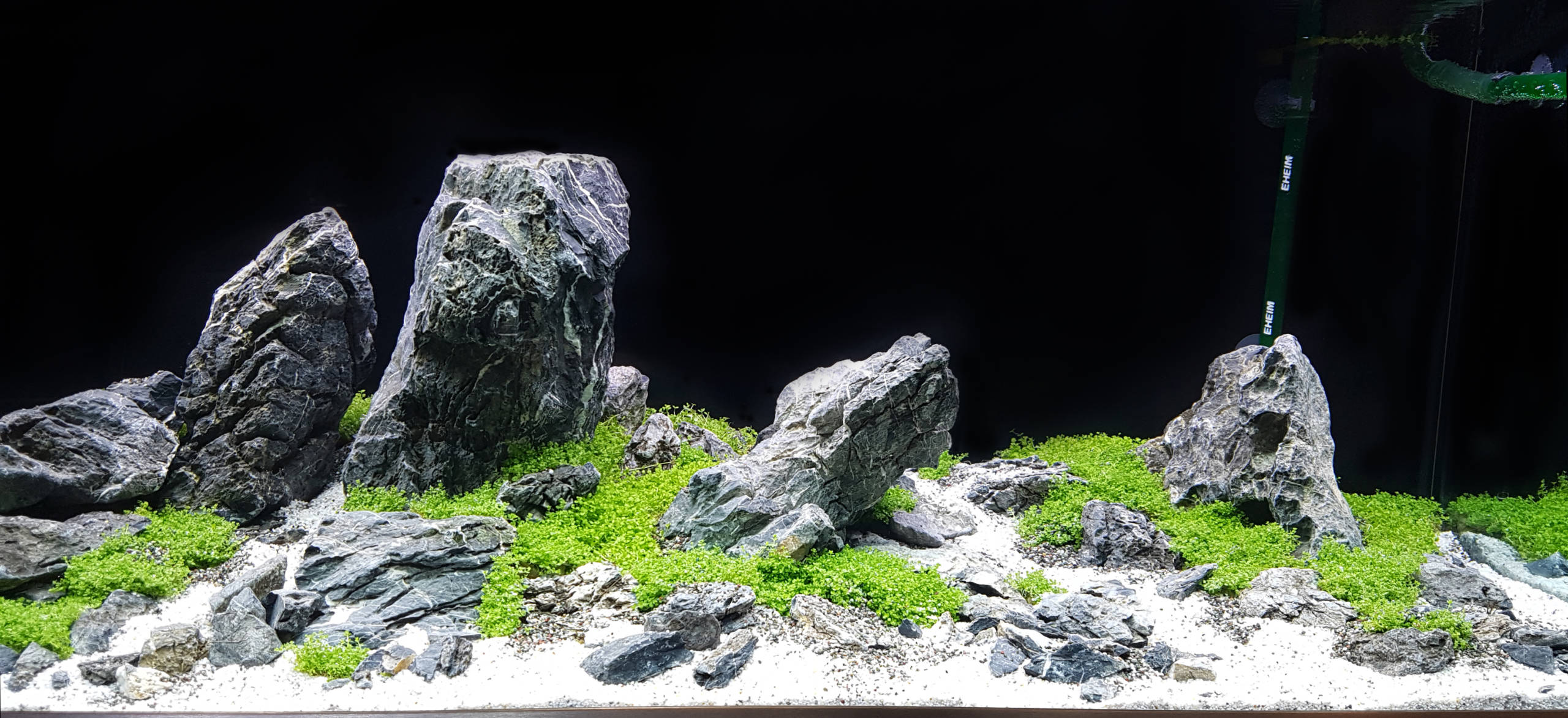 Aquascaping Stein Landschaft | Galerie Wasserwelten