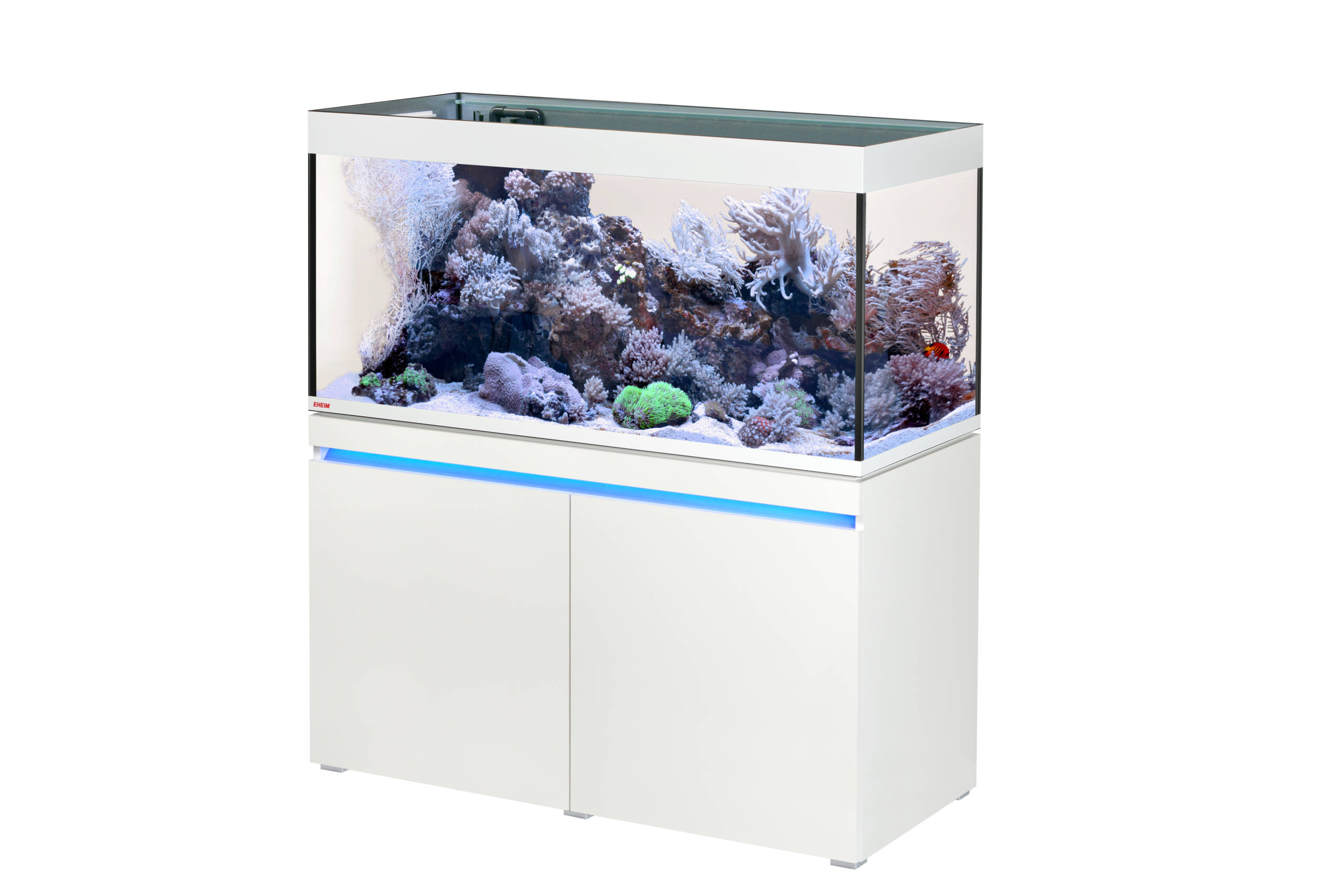 EHEIM incpiria Meerweasser Aquarium | Galerie Wasserwelten