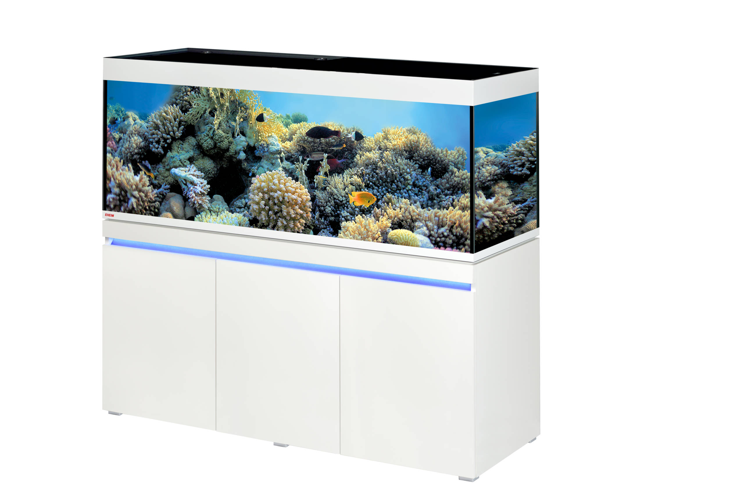 EHEIM incpiria Meerweasser Aquarium | Galerie Wasserwelten