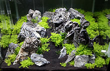 20140407_130525-s.jpg