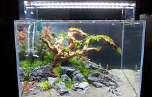 20140509_141909-s.jpg