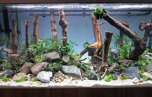 20141026_150146-s.jpg