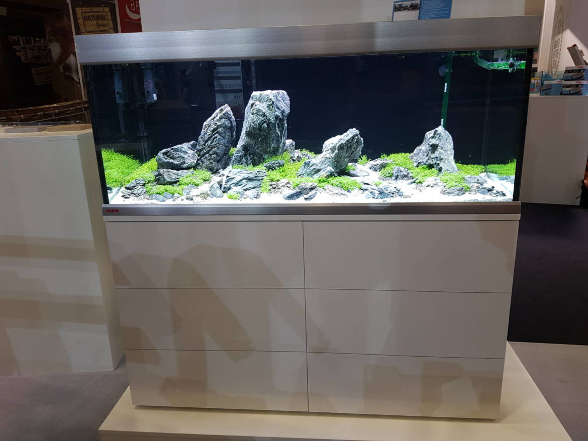 20180507_124931-scaled.jpg