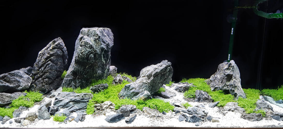 20180507_124937-1-scaled.jpg