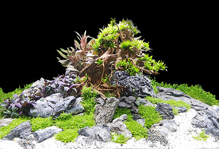 20180507_125012-1.jpg