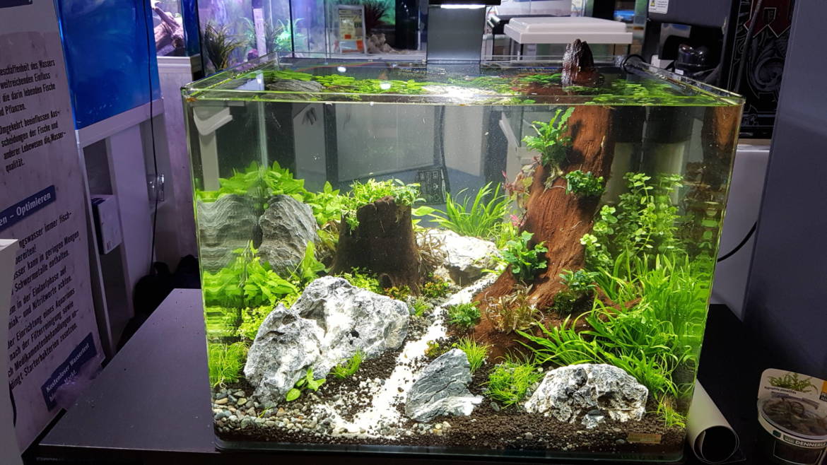 20181124_153718-scaled.jpg
