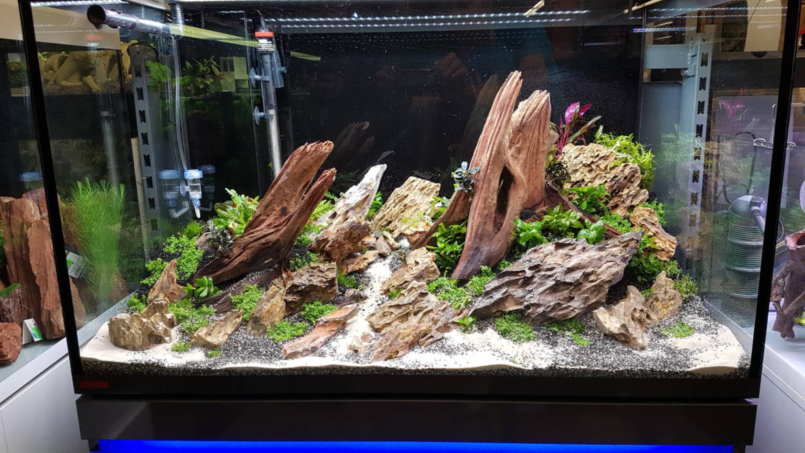 20181207_170431-scaled.jpg