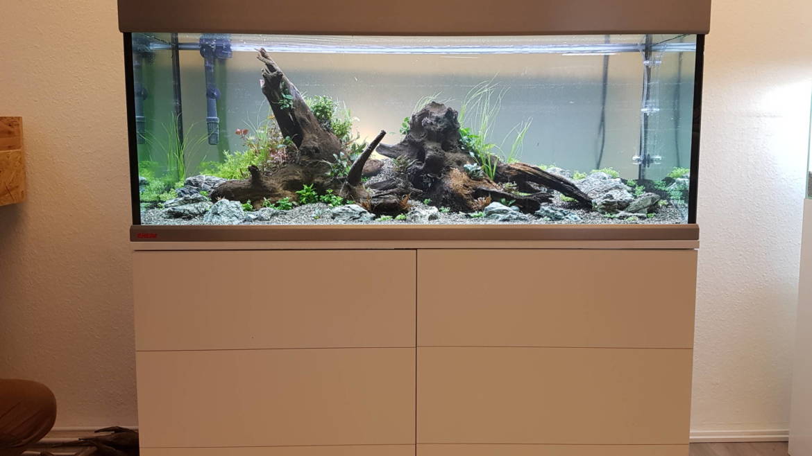 20190202_145509-1-scaled.jpg