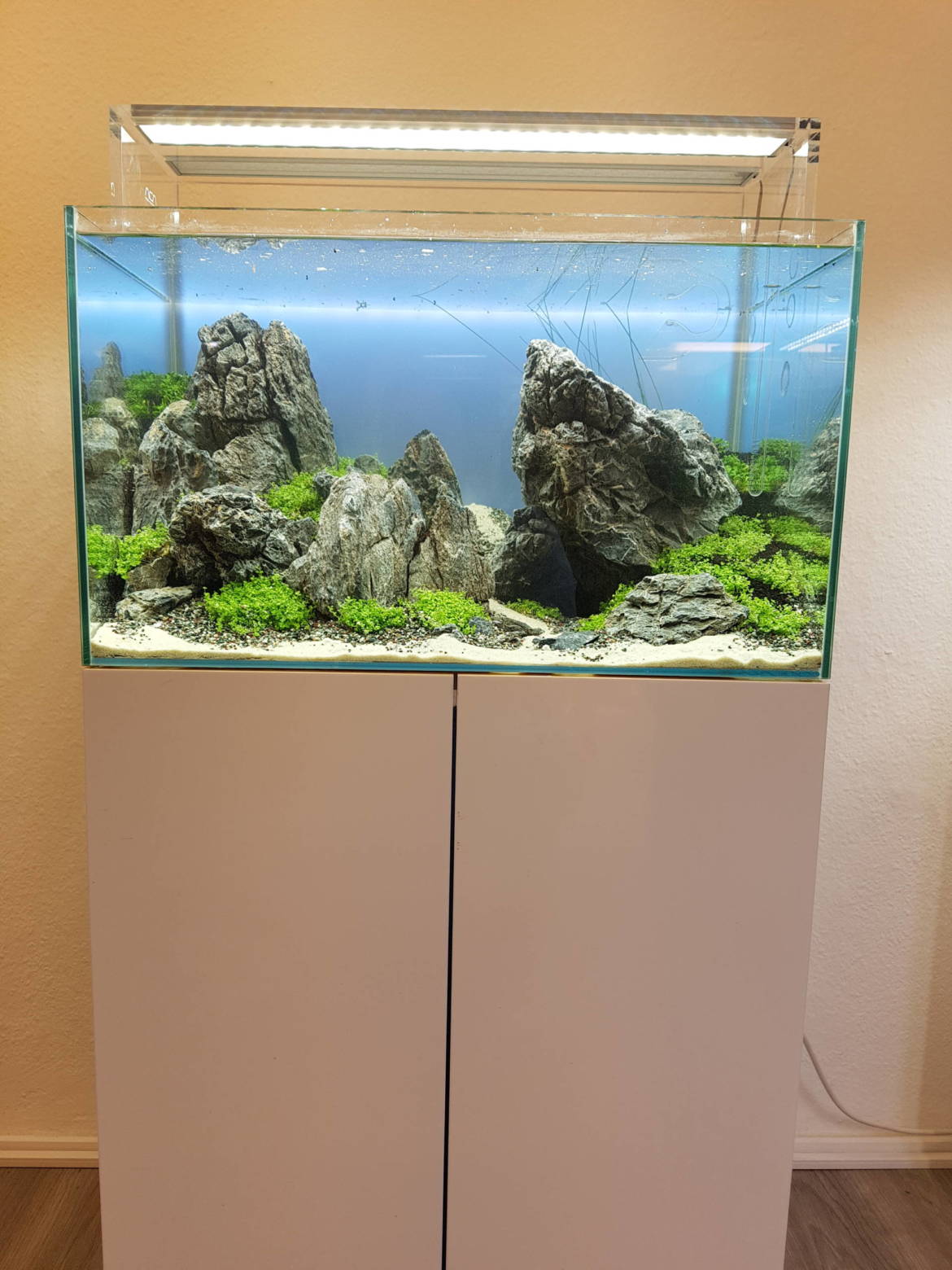 20190302_143231-scaled.jpg