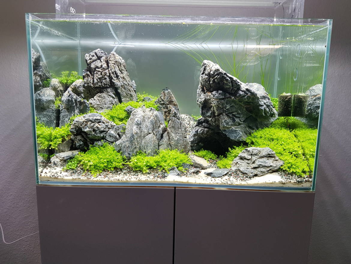 20190322_173533-scaled.jpg