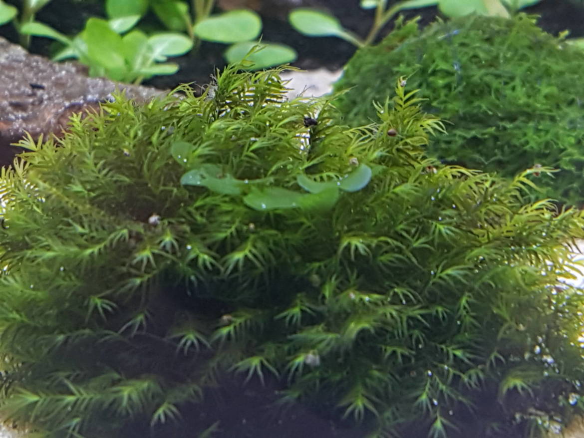 20190405_173143-1-scaled.jpg
