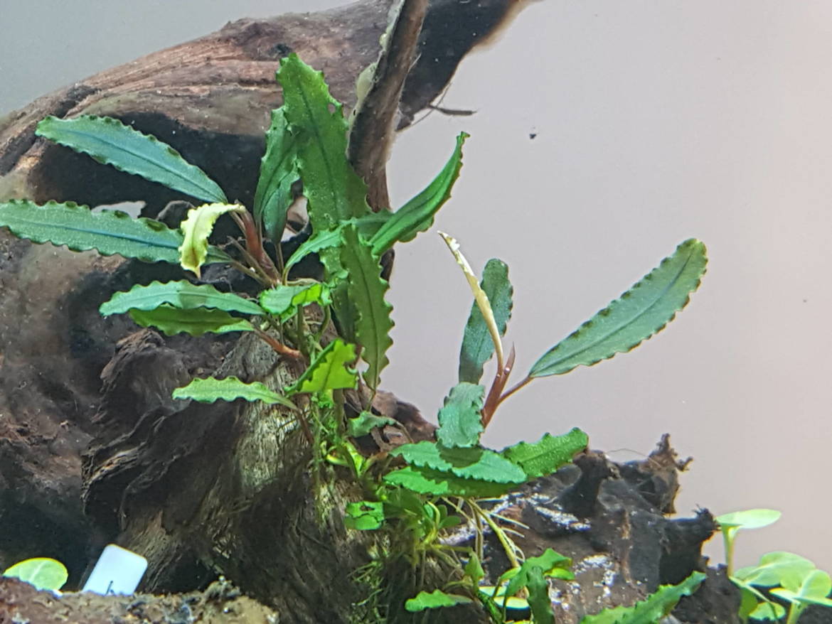 20190405_173147-1-scaled.jpg
