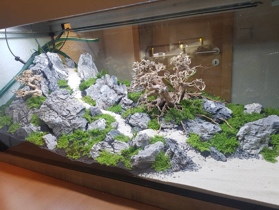 20190607_194514-scaled.jpg