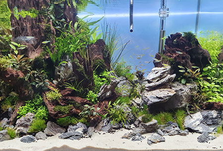 20190913_170733-1.jpg