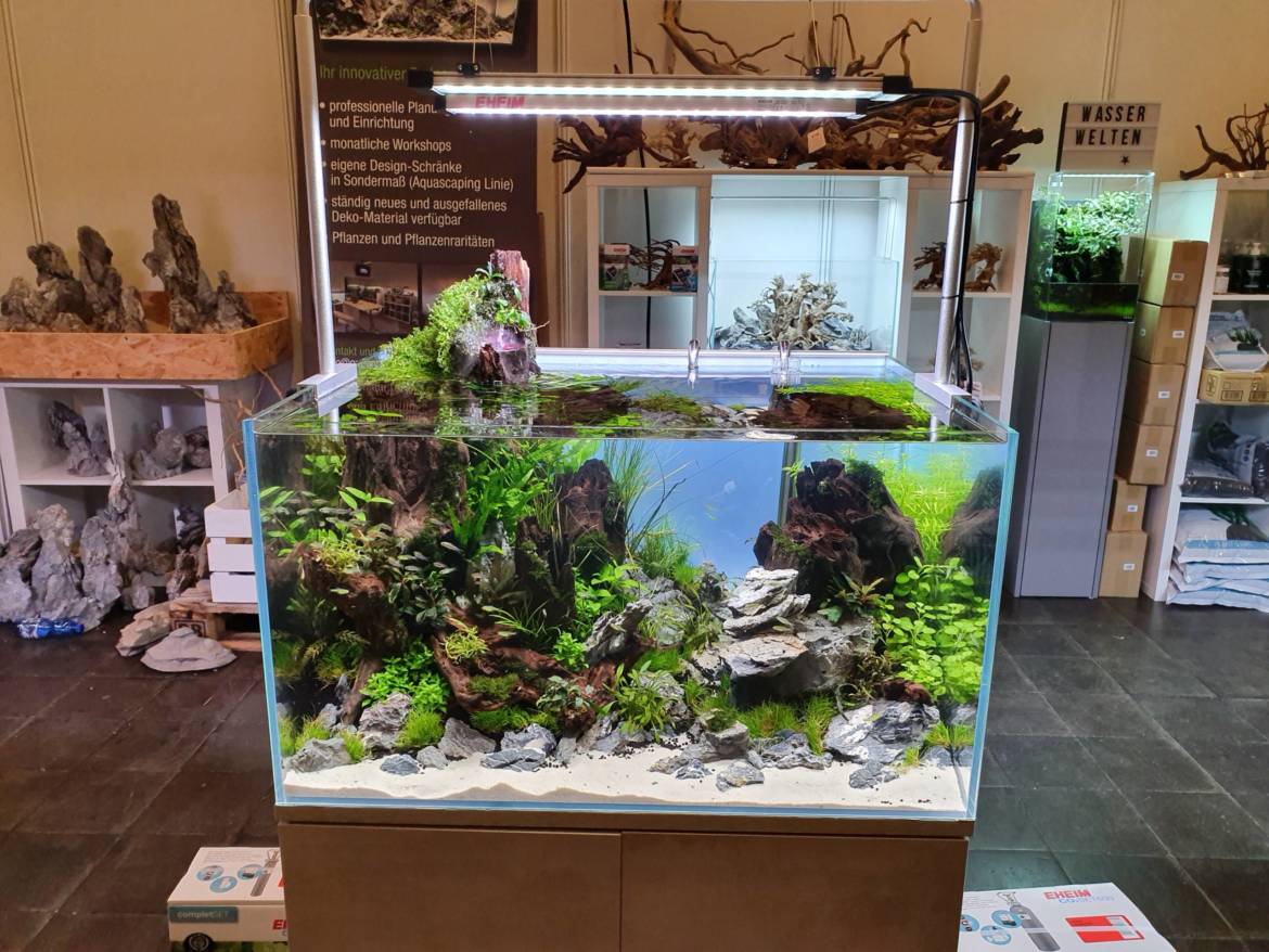 20190913_170754-scaled.jpg