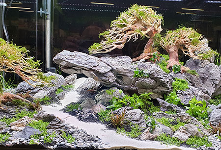 20191004_123245-1.jpg
