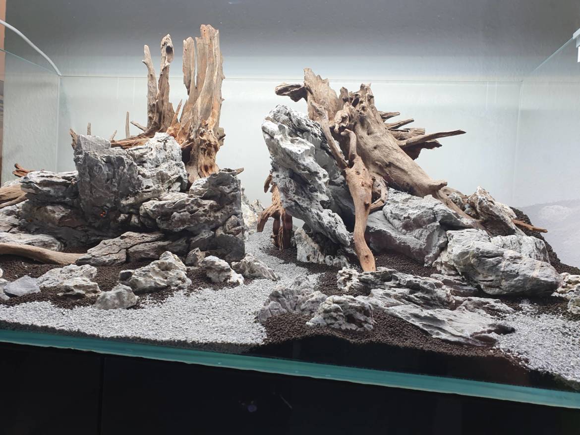 20191014_174828-scaled.jpg