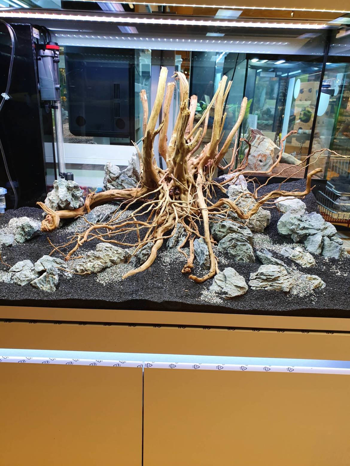 20191109_114013-scaled.jpg
