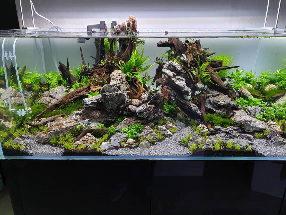20191109_155933-2-scaled.jpg