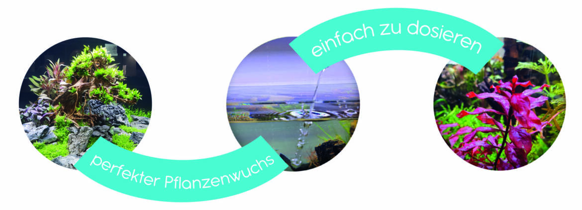 Unbenannt-2_Zeichenflaeche-1-scaled.jpg